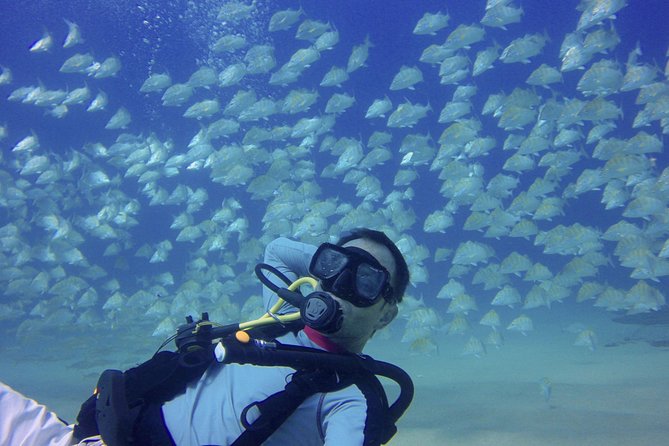 Scuba Diving - Who will get the most from this Cabo outing