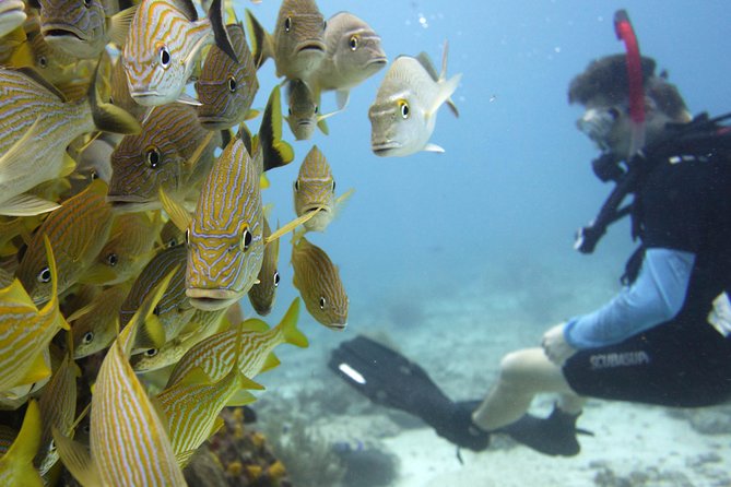 Scuba diving at MUSA the underwater museum for certified divers - Who will enjoy this Isla Mujeres scuba outing