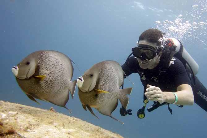 Scuba diving at MUSA the underwater museum for certified divers - Is $135 a fair price?