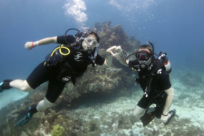 Scuba diving at MUSA the underwater museum for certified divers - Weather, cancellations, and practical terms