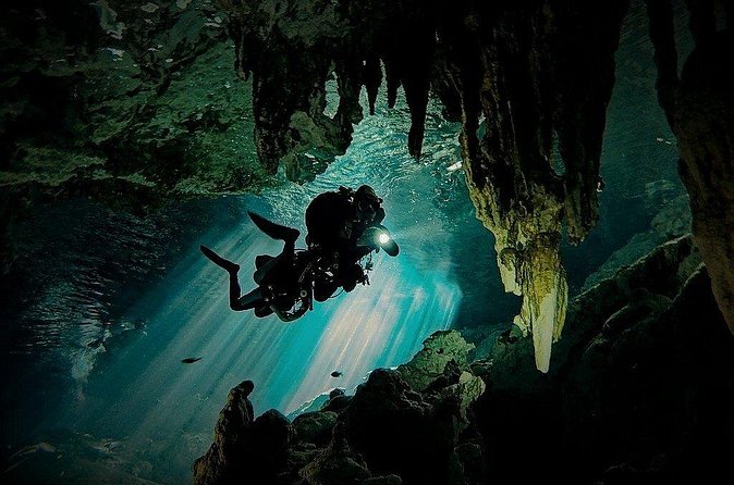 Scuba Diving in Cenote Dos Ojos from Playa del Carmen - Who will get the most from this outing
