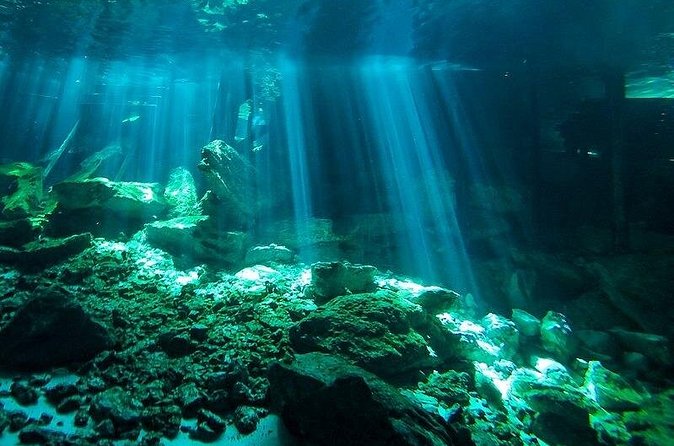 Scuba Diving in Cenote Dos Ojos from Playa del Carmen - Booking details and cancellation terms