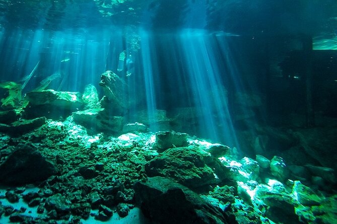 Scuba Diving in Cenote Dos Ojos from Playa del Carmen - The 8am start from central Playa del Carmen