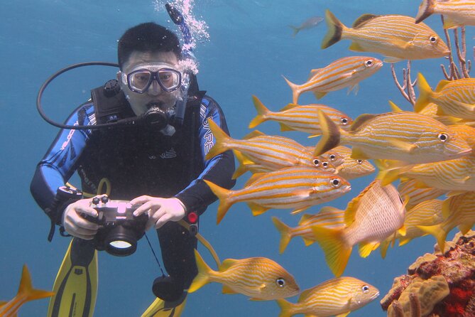 Scuba Diving Under Water Museum and Reef for beginners - The boat transfer and the wait between sessions