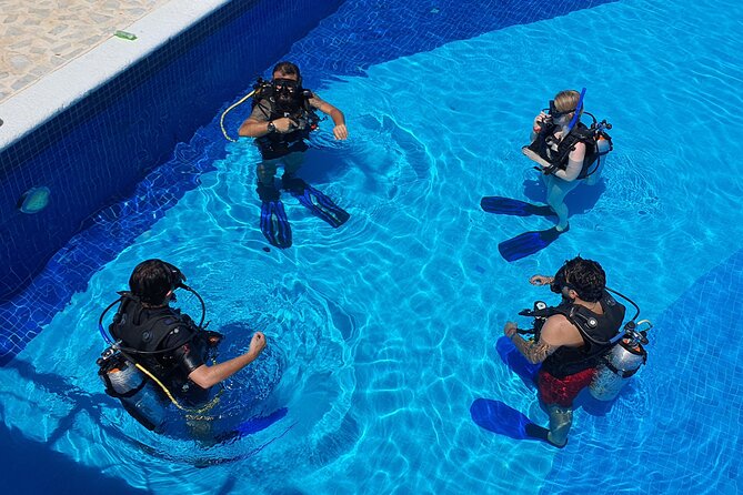 Scuba Diving Under Water Museum and Reef for beginners - Manchones Reef and the natural side of the outing