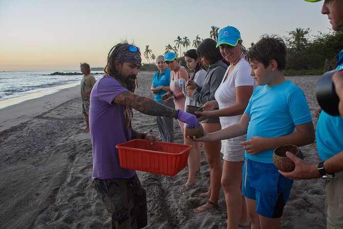 Sea Turtle Release – A Puerto Vallarta Conservation Adventure - A short van ride and a real beach walk
