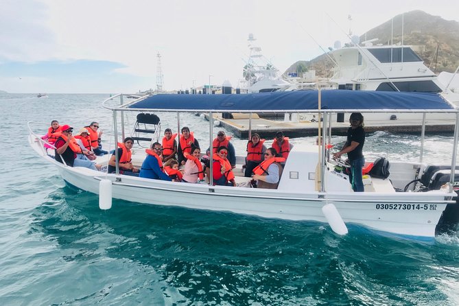 Shared ride to the arch of Cabo San Lucas - Pelican Rock, sea lions, and fish