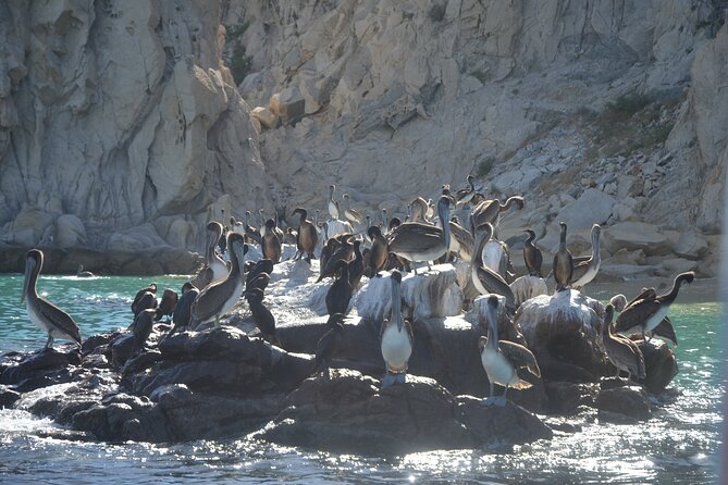Shared Tour to the Arch of Cabo San Lucas - Photos, tips, and a little sales pressure