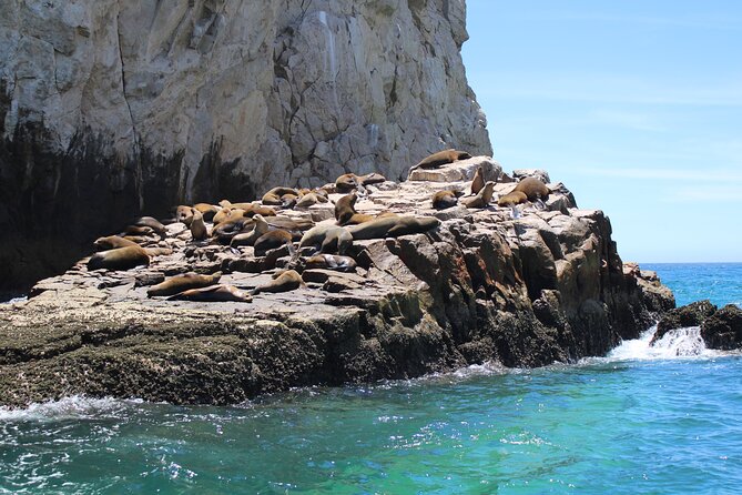 Shared Tour to the Arch of Cabo San Lucas - Finding Dock D without stress