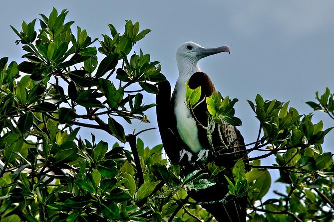 Sian Ka'an Adventure Full Day Trip to Punta Allen - Is the $254 price fair?