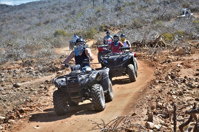 Single ATV Tour from Migriño Beach & Desert - Two rest stops with a chance for whales