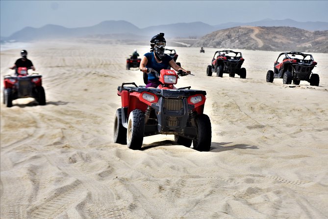 Single ATV Tour from Migriño Beach & Desert - Mangroves, dunes, and Baja cactus country
