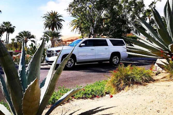 SJD Airport to Cabo San Lucas - One way service - Punctuality, communication, and the traffic question