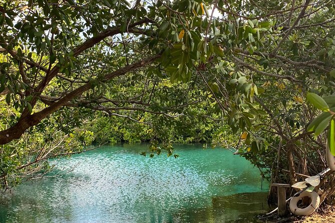 Small-Group 3 Cenotes Adventure Tour - Group Size, Comfort, and Physical Demands