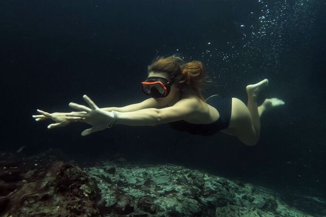 Small Group 3 Waterfall Cenotes Experience - Transport, pickup, and the real time commitment