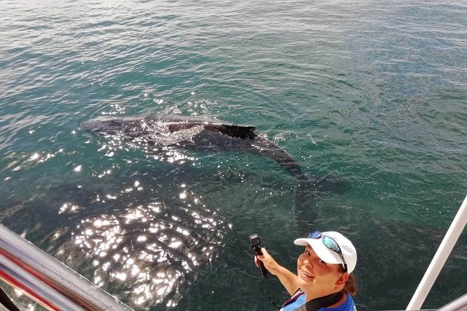 Small-Group Half-Day Whale-Watching Tour in Puerto Vallarta - Lunch, shade, and the practical comforts