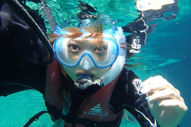 Small-Group Mesoamerican Barrier Reef Snorkeling in Puerto Morelos - Key points at a glance