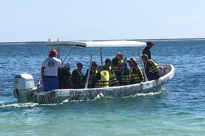 Small-Group Mesoamerican Barrier Reef Snorkeling in Puerto Morelos - The marine life you might see