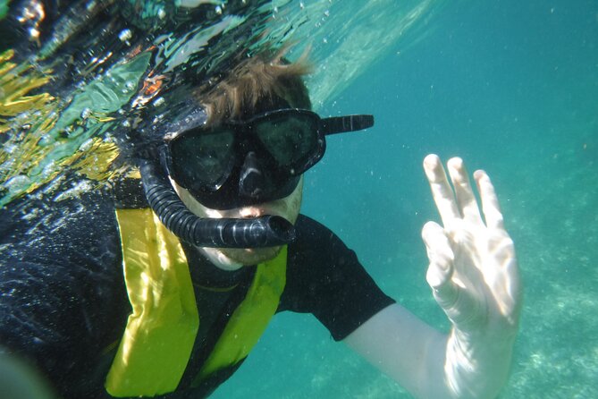 Small-Group Mesoamerican Barrier Reef Snorkeling in Puerto Morelos - Families, beginners, and nervous swimmers