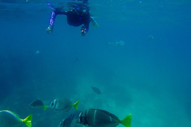 Snorkel Adventure and Hike to a Hidden Beach - Beach food, shade, and a slow finish