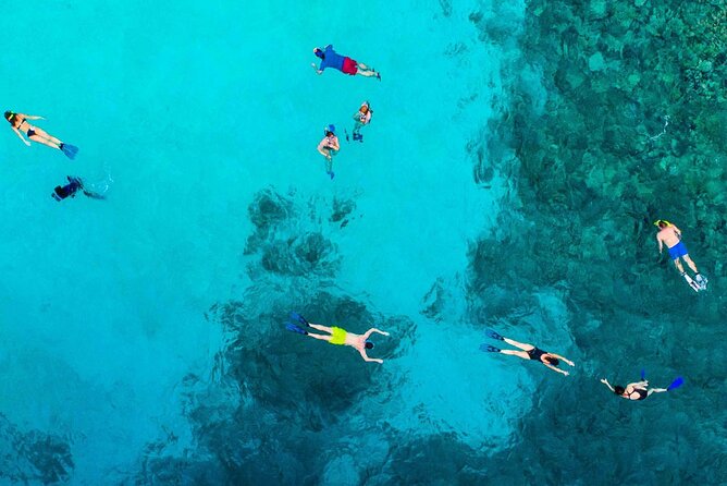 Snorkel and arch tour in los cabos - Pelican Rock and the 30 to 40 minute snorkeling stop