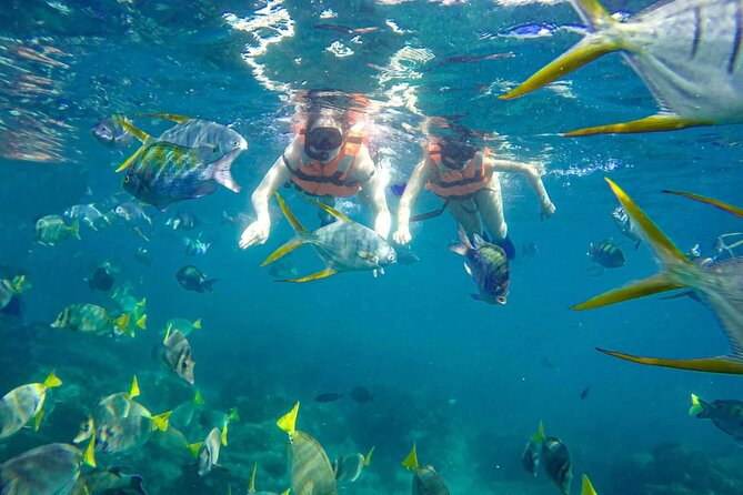 Snorkel and arch tour in los cabos - El Arco, sea lions, and Cabo’s famous rocks