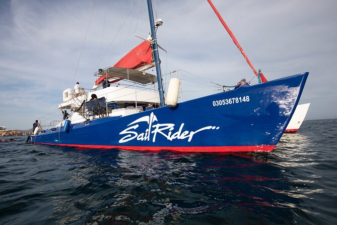 Snorkel, Lunch & Sail in Cabo San Lucas - Setting sail from Cabo’s Marina at 10:30 a.m.