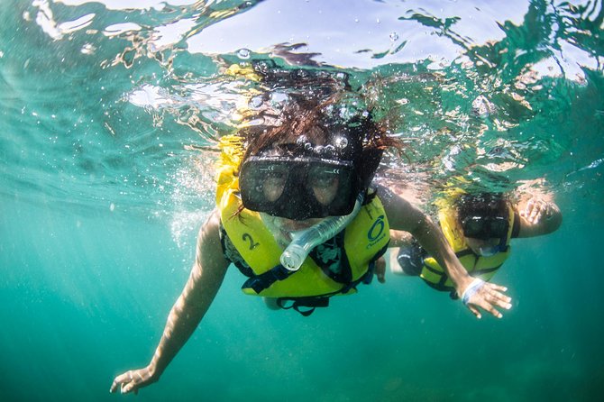 Snorkel, Lunch & Sail in Cabo San Lucas - Who will enjoy this Cabo cruise most