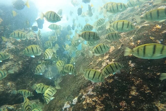 Snorkel Privately in Cabo San Lucas - What the Crew Adds to the Day