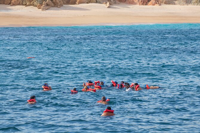 Snorkel & Sunset Sail in Cabo San Lucas - What the $110 price really covers