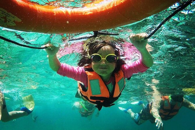 Snorkeling Guided Activity in Puerto Morelos Mexico - Two reef stops in Puerto Morelos National Park