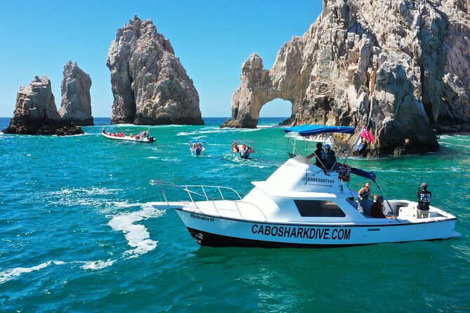 Snorkeling or Swimming with Sharks in Cabo San Lucas - The biggest risk: spending your vacation without a shark