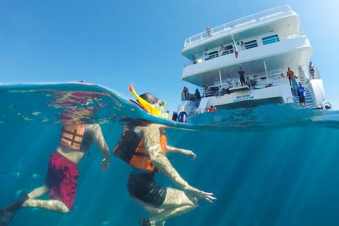 Snorkeling tour in Cabo San Lucas - From Cabo Marina to the famous arch