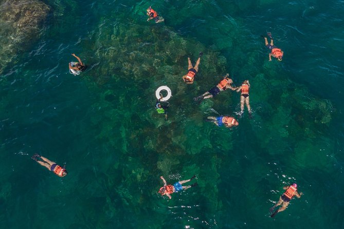 Snorkeling tour in Cabo San Lucas - Kayaks and paddle boards when available