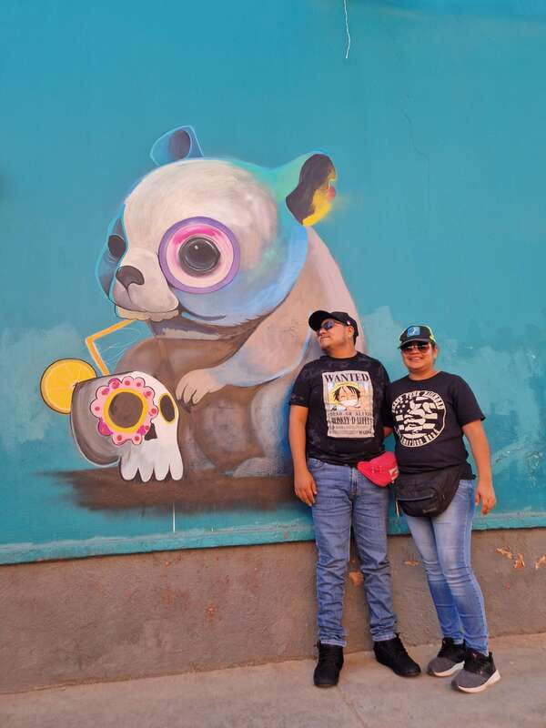 Street Art with an artist - Jalatlaco: murals, streets, and a new side of Oaxaca
