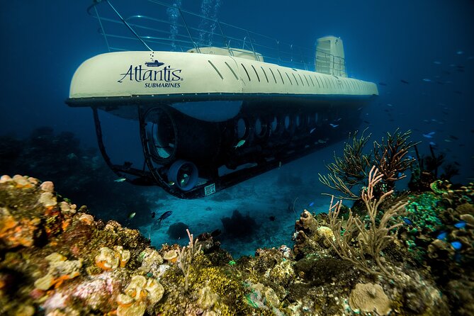 Submarine Atlantis Cozumel Adventure by Day & Sunset - Who will enjoy this most