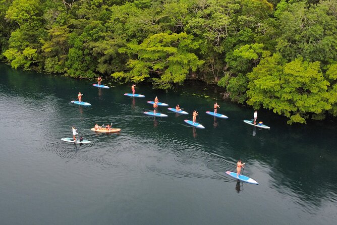 Sunrise by Paddle or Kayak with Floating Picnic - Guides who make beginners feel at ease