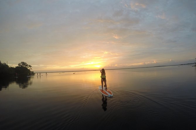 Sunrise Tour (Stand Up Paddle or Kayak) - Paddleboard or Kayak: Which Choice Makes Sense?