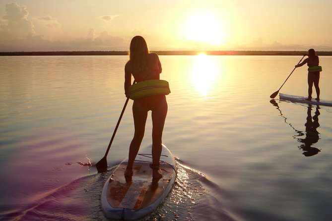Sunrise Tour (Stand Up Paddle or Kayak) - What the Guide and Included Extras Add