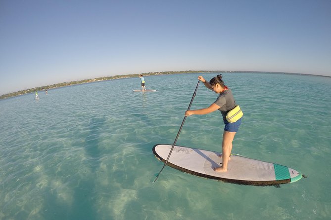 Sunrise Tour (Stand Up Paddle or Kayak) - The Route: Pirate Channel and Cenote Negro