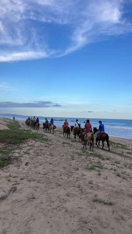Sunset by Horse on the Beach - The return at dusk and the small surprises