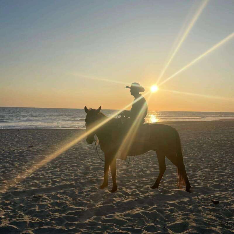 Sunset by Horse on the Beach - A note about communication and reliability
