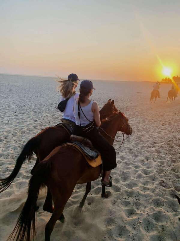 Sunset by Horse on the Beach - Learning the horses before entering the fields