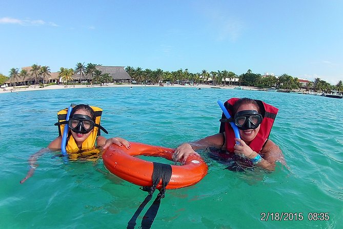 Swim with sea turtles - Timing, sun protection, and what to bring