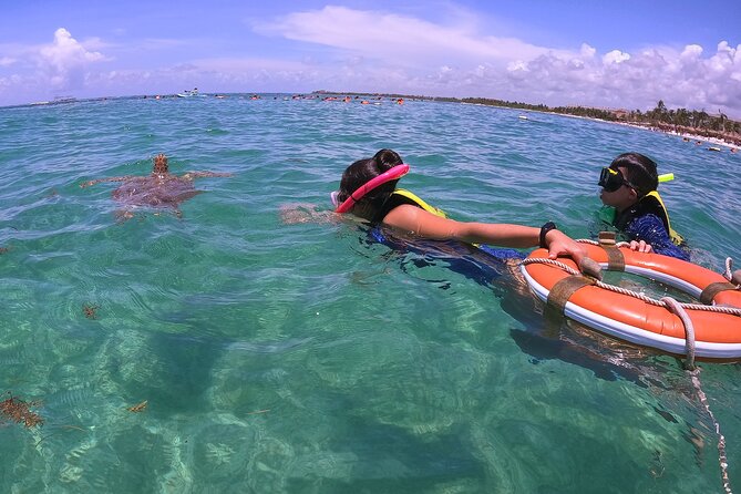 Swim with Turtles in Akumal + GoPro Photo Session - Why Akumal Bay is special for turtle watching