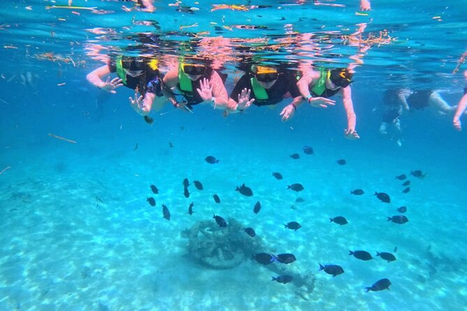Swim with Turtles in Akumal + GoPro Photo Session - What is included for $53.59
