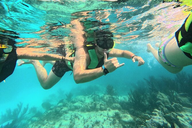 Swim with Turtles in Akumal + GoPro Photo Session - What happens from the Akumal meeting point to the water