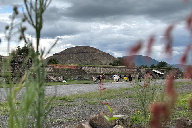 Teotihuacan without obligatory stops. No shops or restaurants. - What the guide adds to the visit