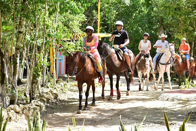Tequila Tasting, Horseback Riding,ATV, Ziplines Cenote and Lunch - How the value works for different budgets