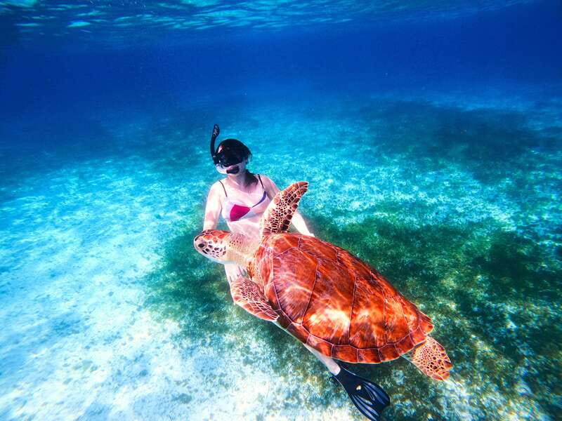 The Cozumel Turtle Sanctuary Snorkel Tour - Who should book this tour?